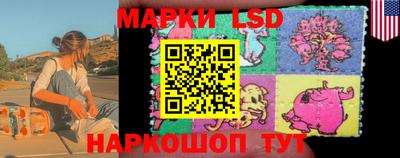 mdpv Кандалакша
