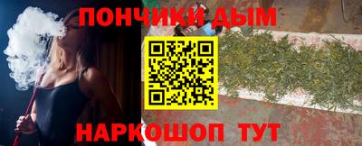 spice Камышлов