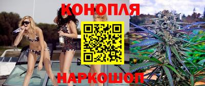 spice Камышлов